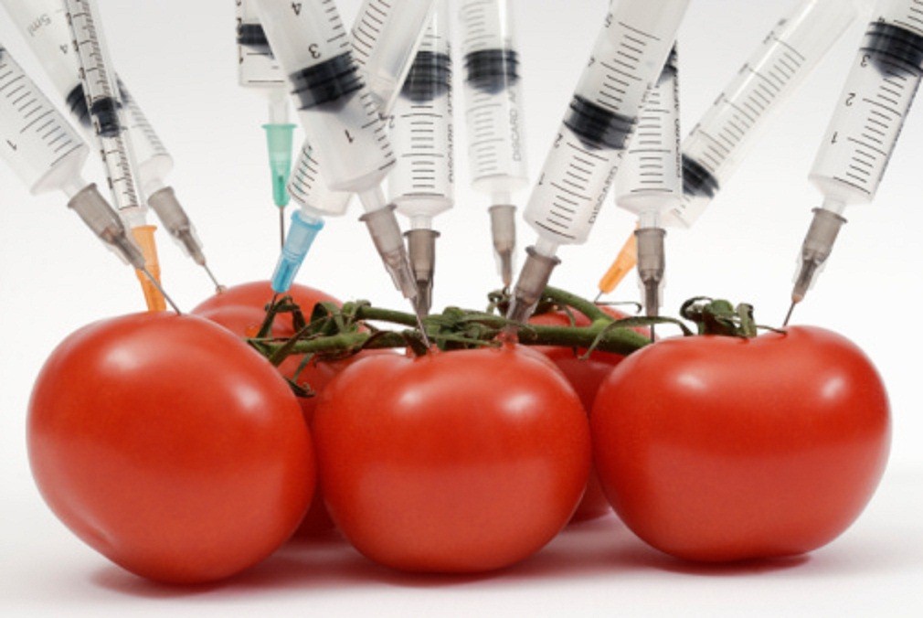 genetically-modified-food-for-human-need-or-corporate-greed