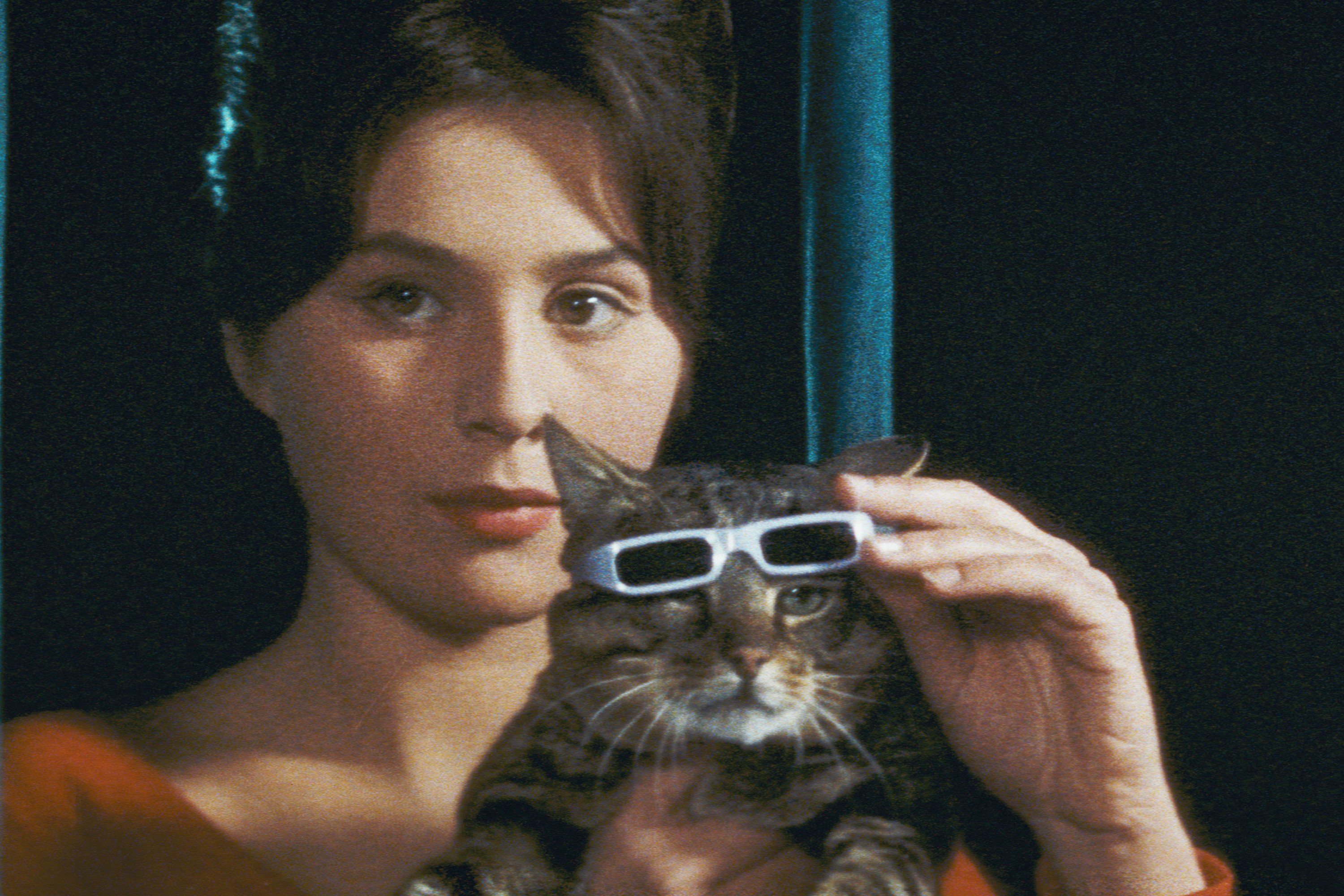Film Review The Cassandra Cat Communist Revolution film-review-the-cassandra-cat-communist-revolution